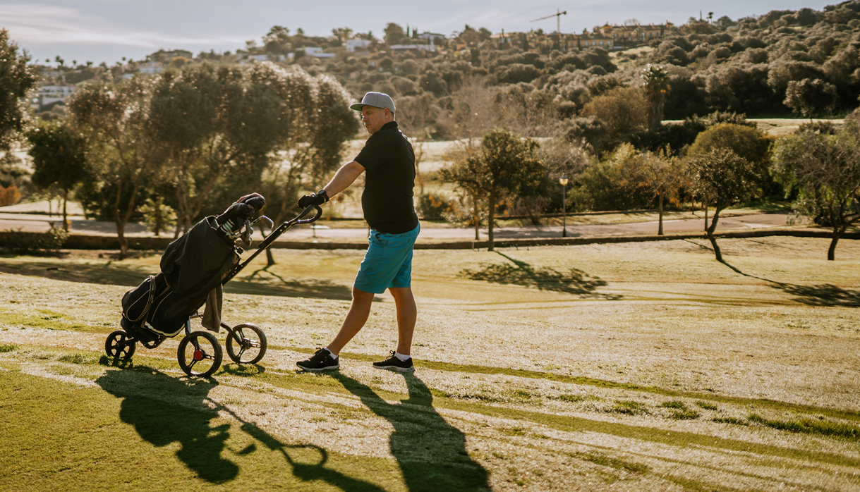 <p style="text-align: center;"><b style="">View All Bags &amp; Carts</b></p>