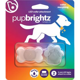 Brightz PupBrightz Paw/Bone Charm