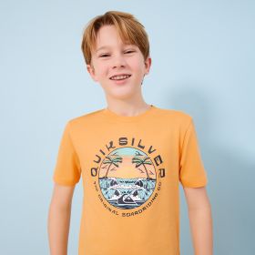 Quiksilver Boys' Circle Wave Palm Tree Short Sleeve Tee