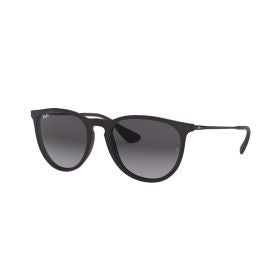 Ray Ban Erika Sunglasses