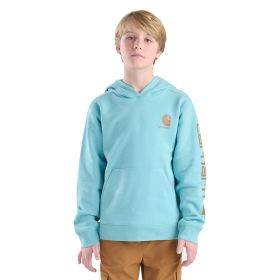 Carhartt Boys' Long Sleeve Graphic Sweatshirt