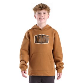 Carhartt Boys' Long Sleeve Graphic Sweatshirt
