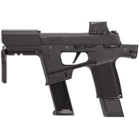 Sig Sauer P365 9MM 6 OR 21_17R Pistol