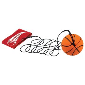 Toysmith Rebound Ball