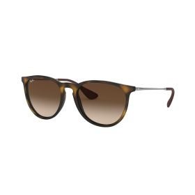 Ray Ban Erika Havana SUnglasses