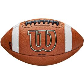 Wilson Youth Leather Game Football