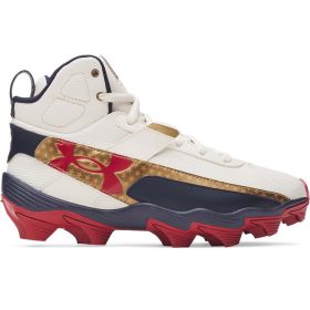 Under Armour Boys' Harper 10 RM Jr. LE USA Baseball Cleats