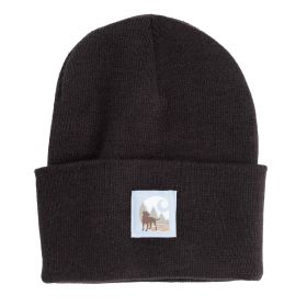 Carhartt Men's Watch Cap Graphic Beanie