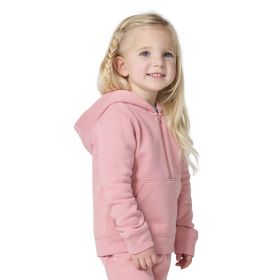 Carhartt Girl's Toddler Long Sleeve Half-Zip Hooded Logo Sweatshirt
