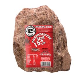 Jurassic Rock 15lb Mineral Rock