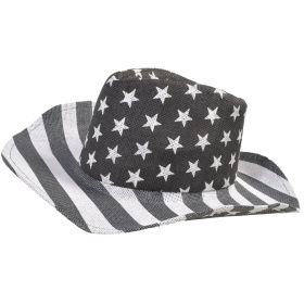 David & Young Tonal Flag Cowboy Hat