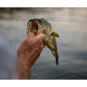 Big Bite Bass Bait